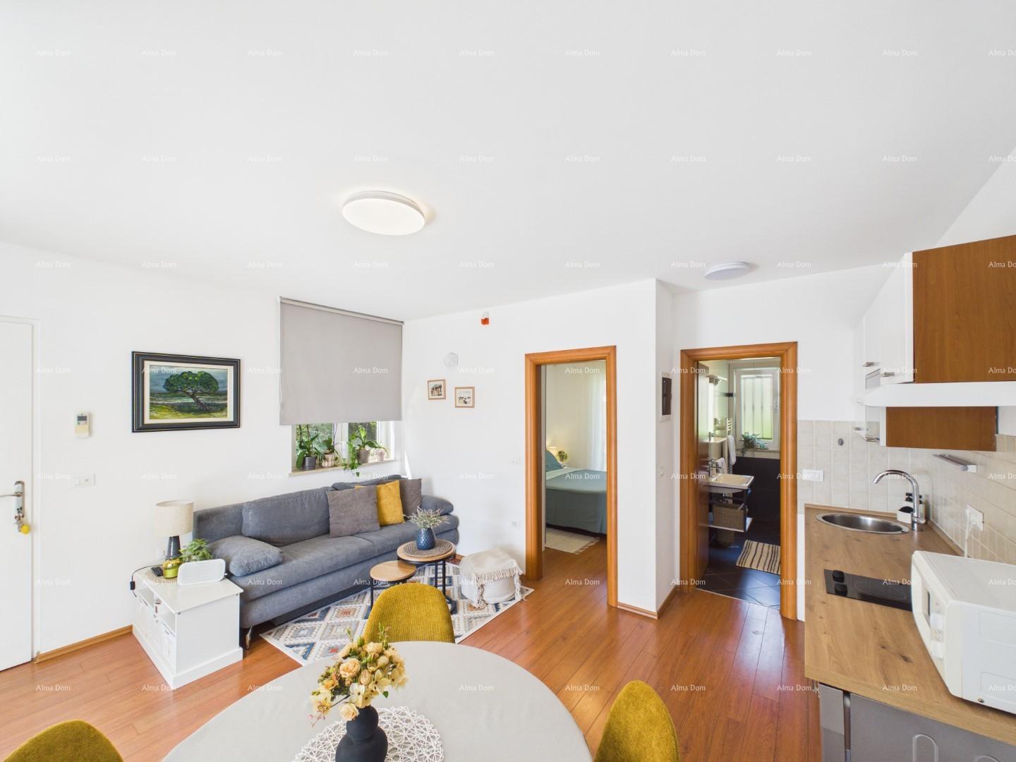 Haus Zu verkaufen - Istarska Rovinj - foto 4/24