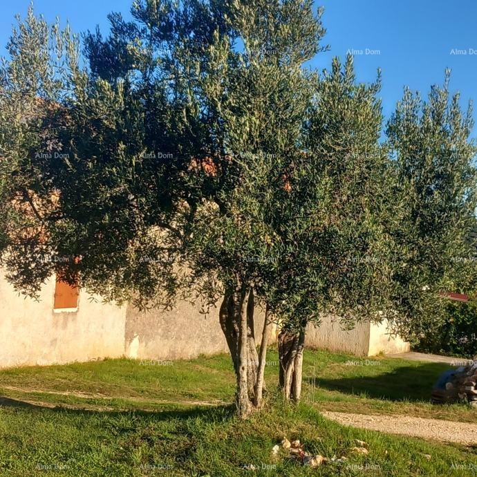 Casa In vendita - ISTARSKA ROVINJ