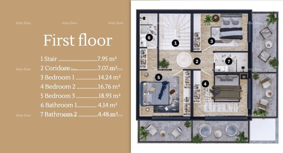 House For sale - ISTARSKA UMAG