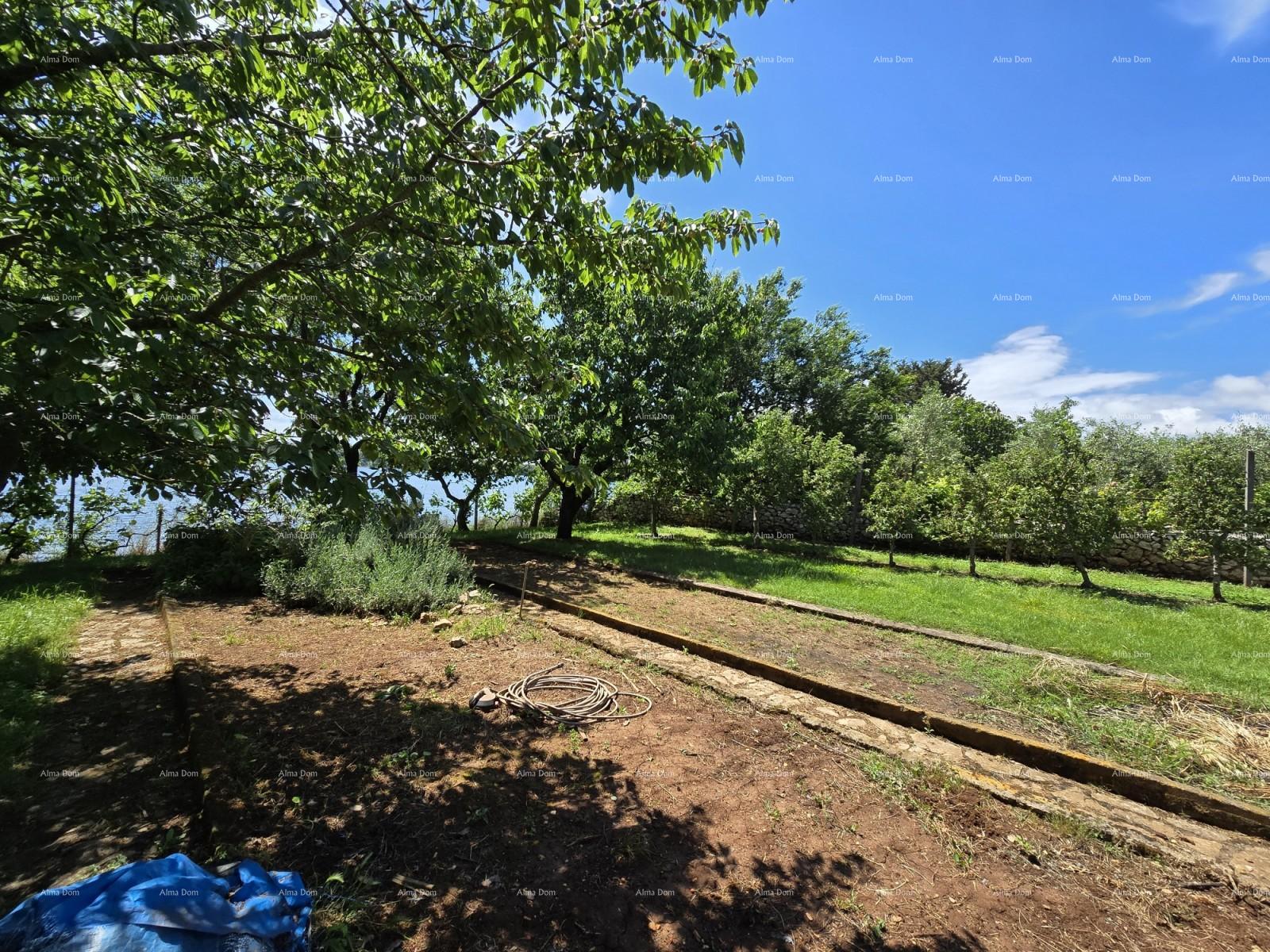 House For sale - ISTARSKA MEDULIN