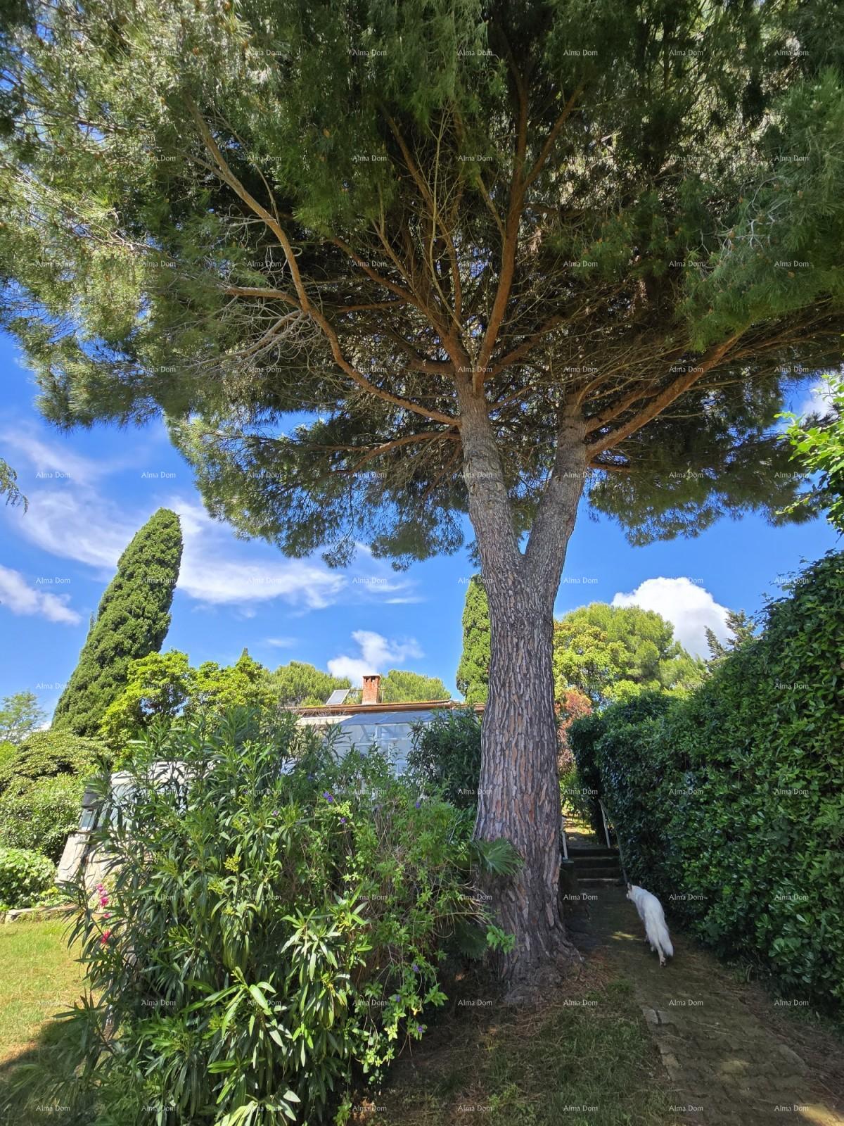 House For sale - ISTARSKA MEDULIN