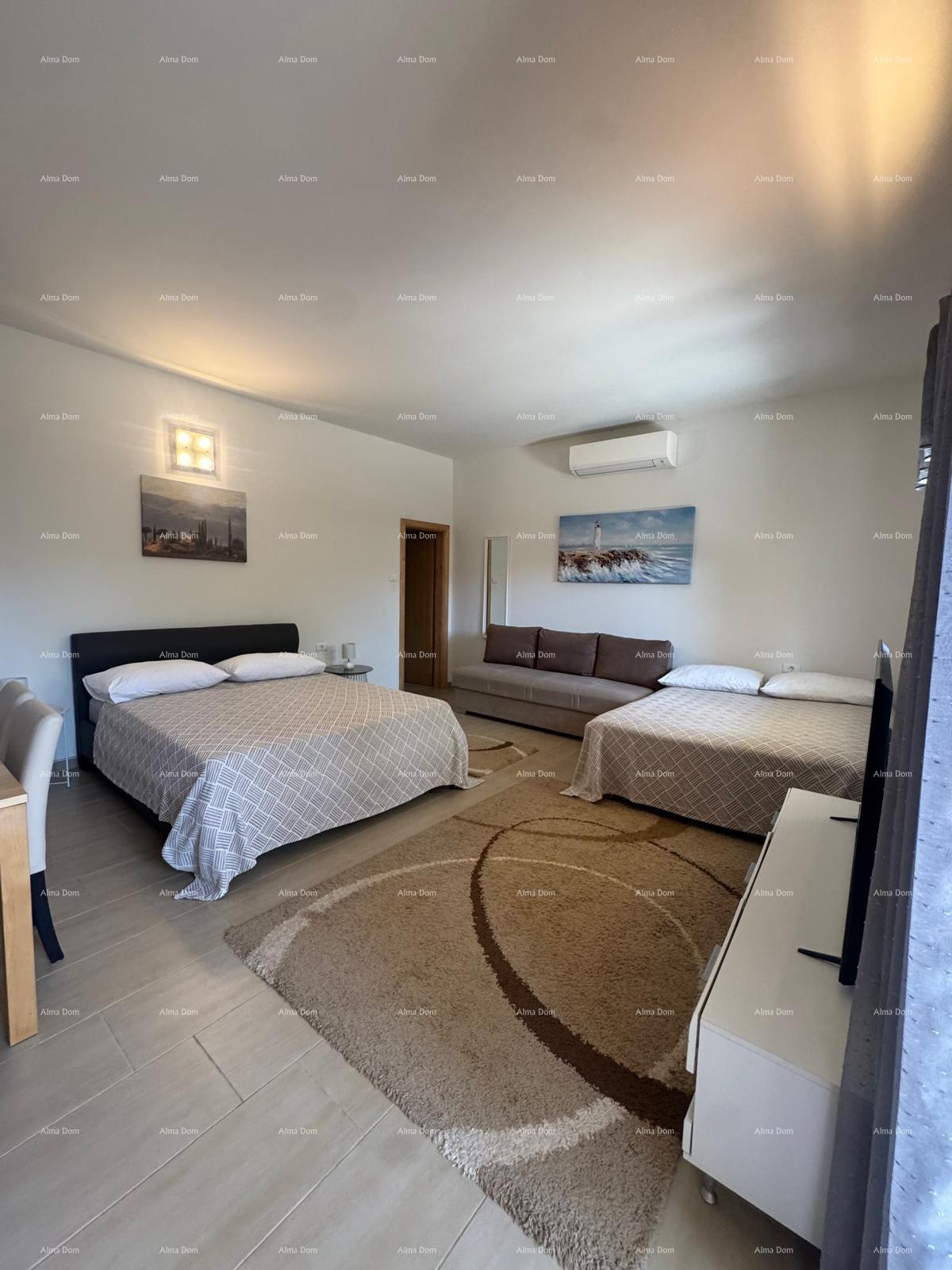 House For sale - ISTARSKA MEDULIN