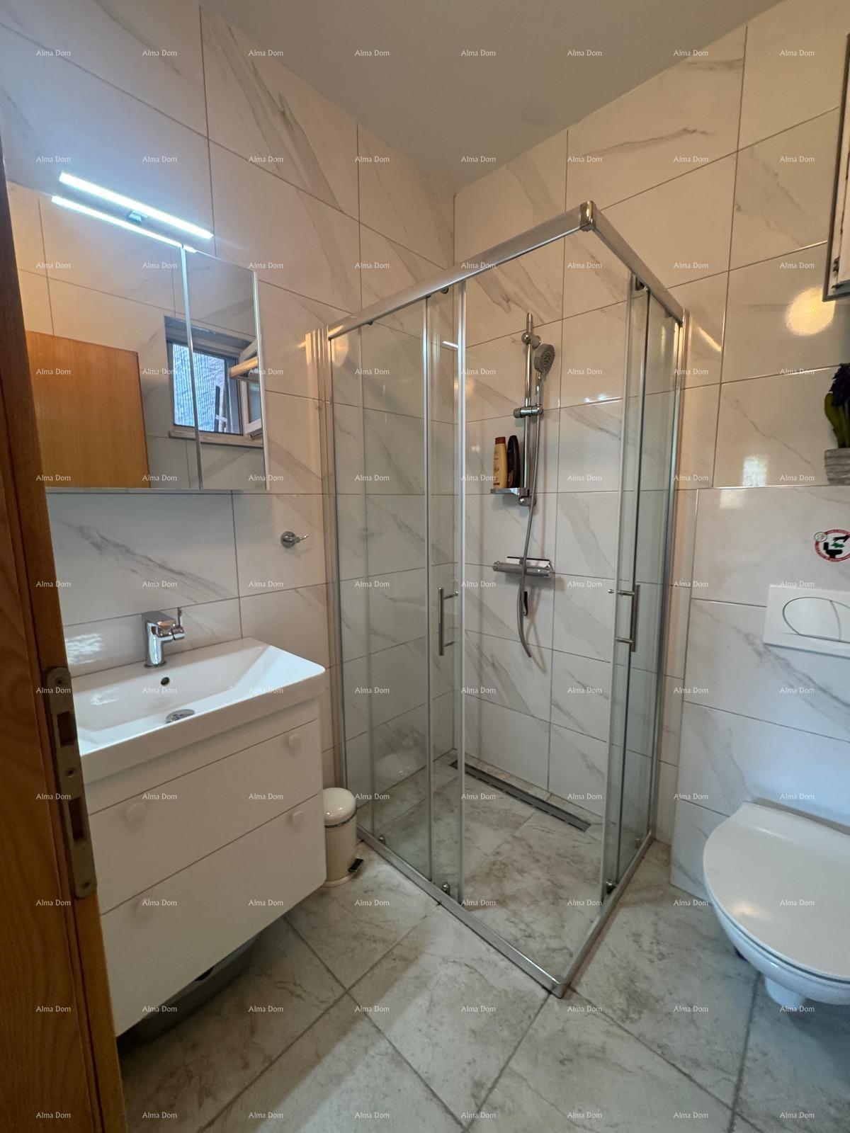 House For sale - ISTARSKA MEDULIN