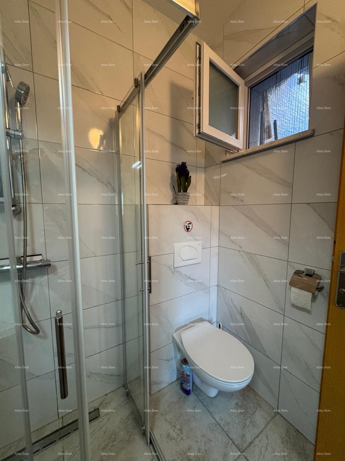 House For sale - ISTARSKA MEDULIN