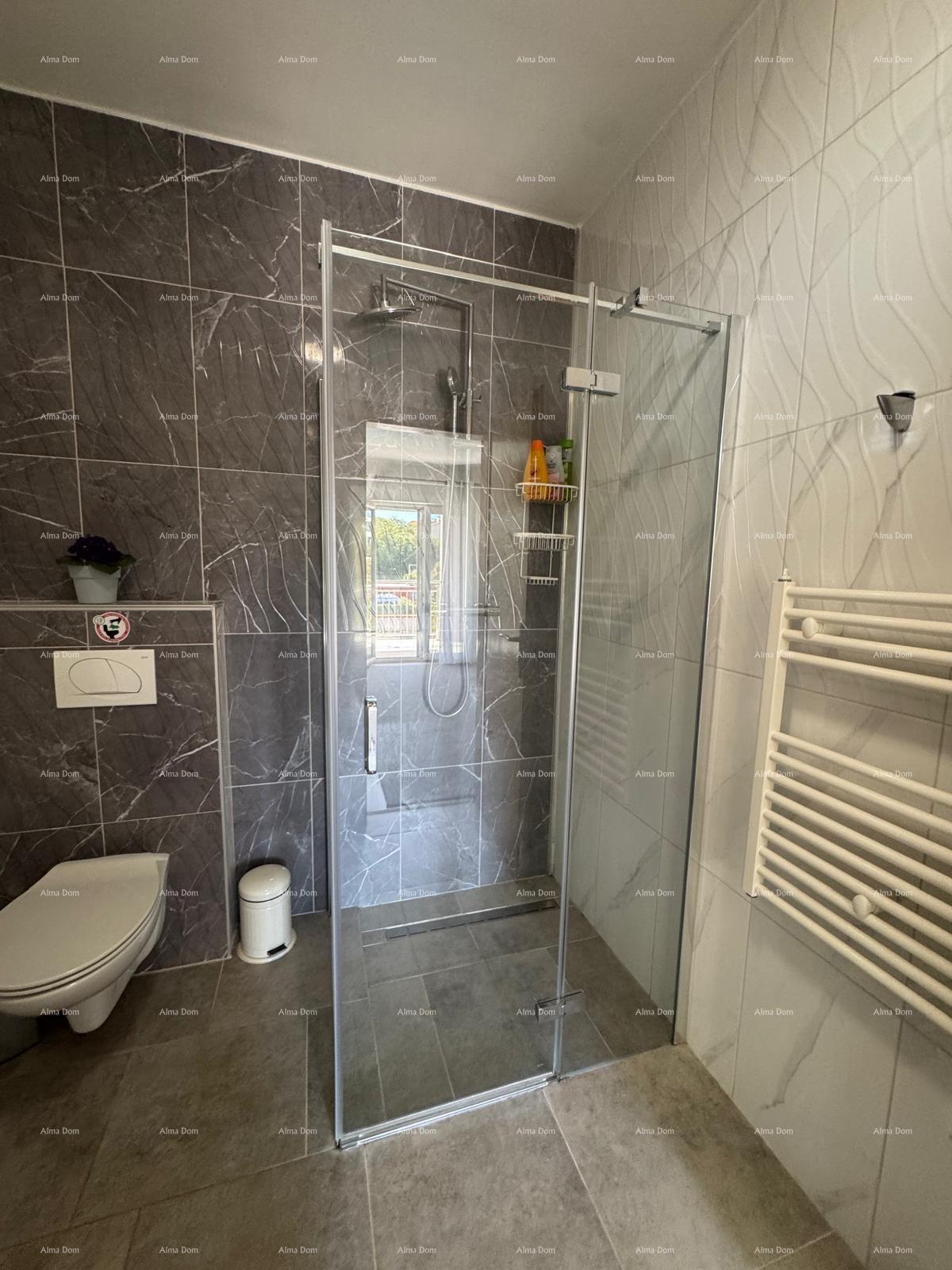 House For sale - ISTARSKA MEDULIN