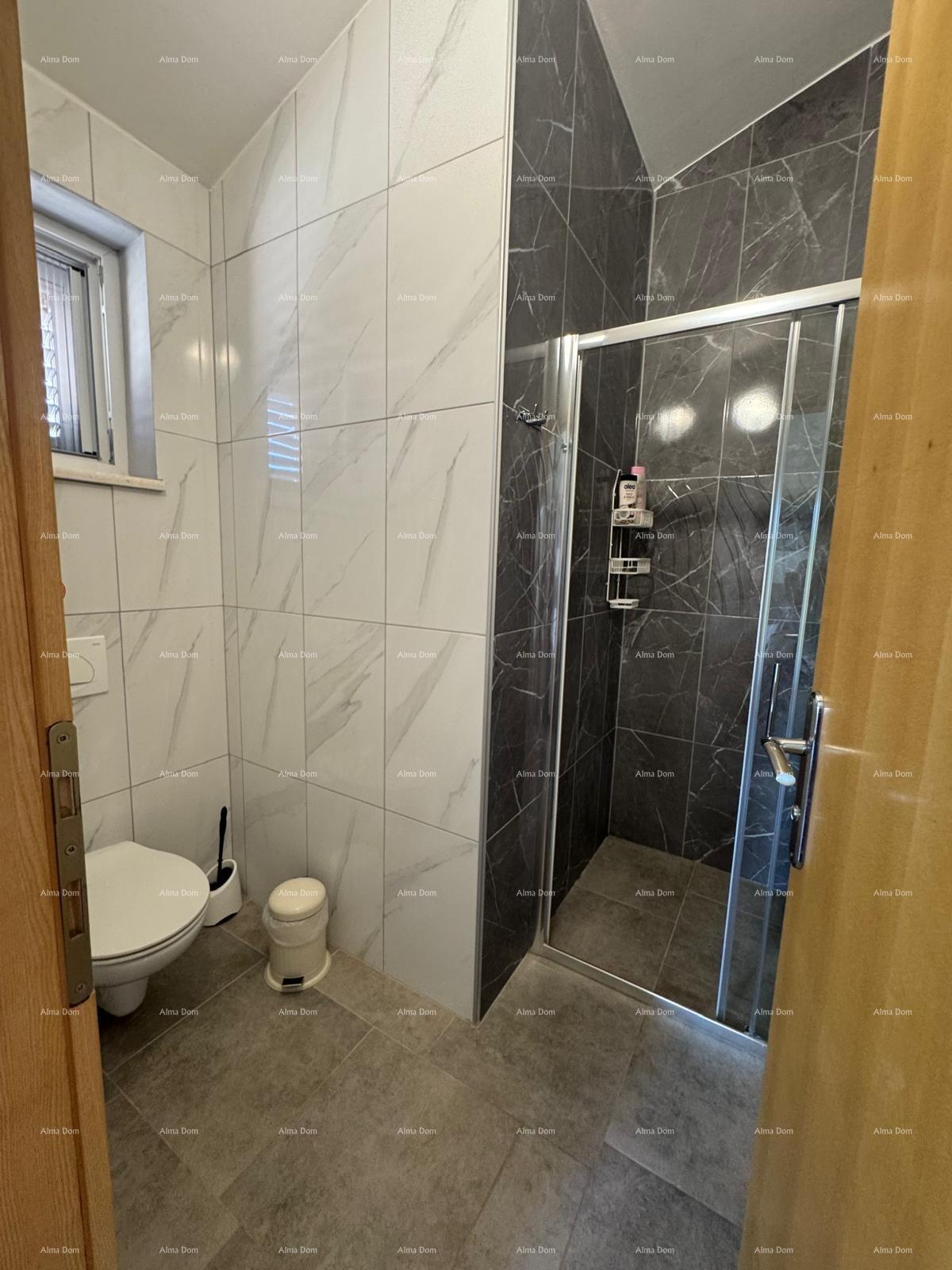 House For sale - ISTARSKA MEDULIN