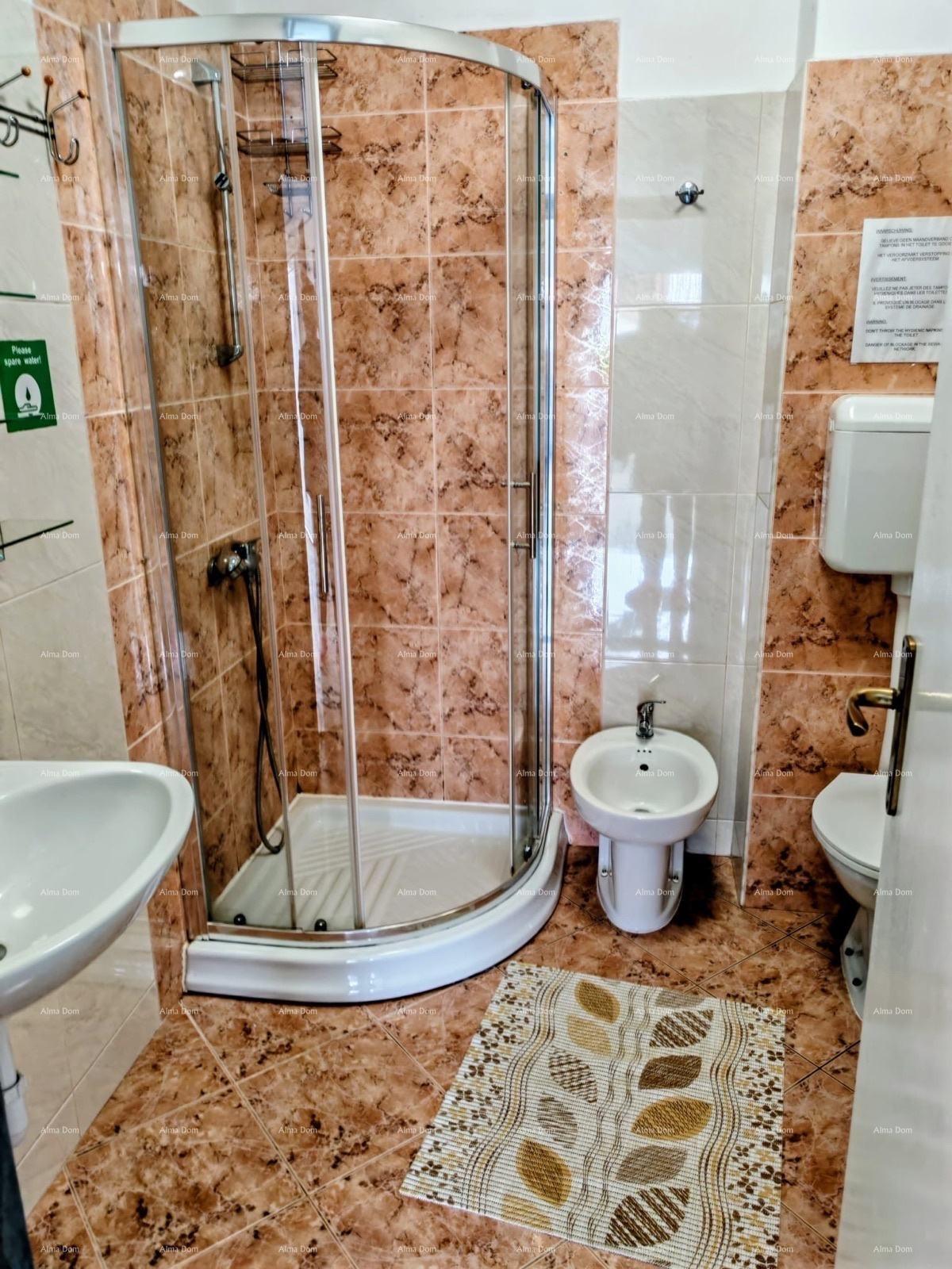House For sale - ISTARSKA MEDULIN