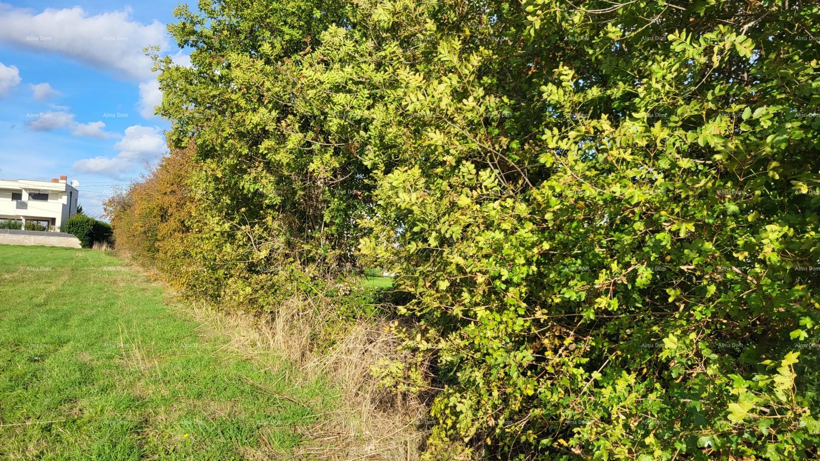 Terreno In vendita - ISTARSKA MARčANA