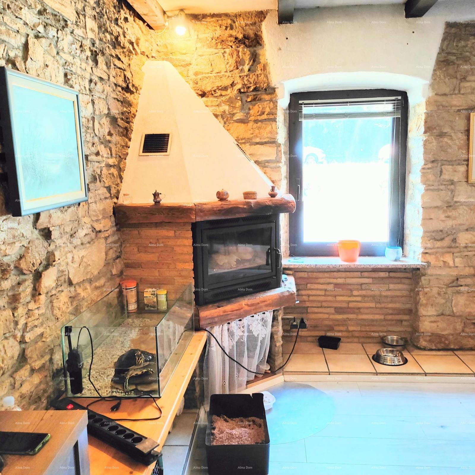 House For sale - ISTARSKA PAZIN