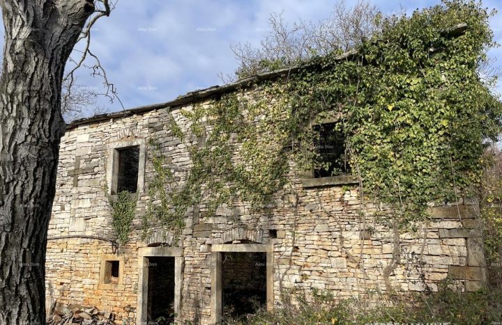 Haus Zu verkaufen - Istarska Oprtalj - foto 2/7
