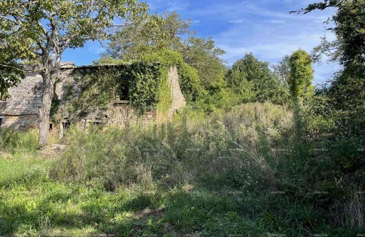 Haus Zu verkaufen - Istarska Oprtalj - foto 4/7