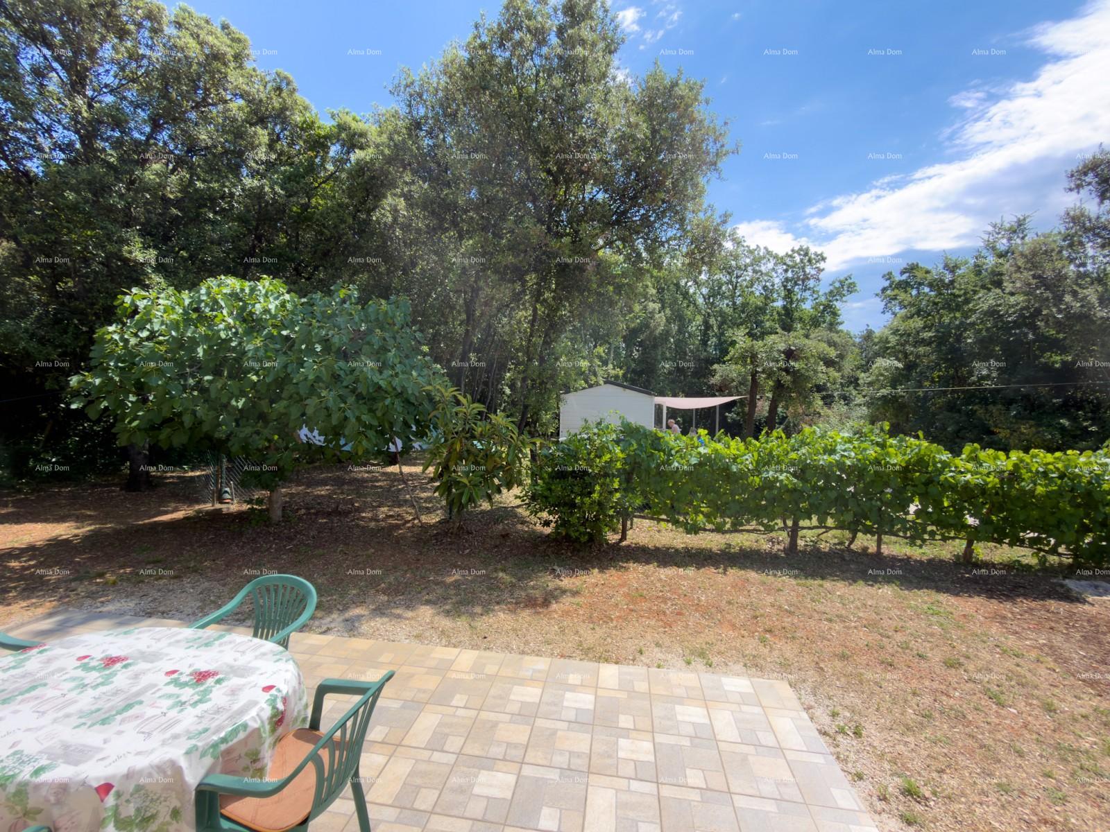 Maison À vendre - ISTARSKA MARčANA