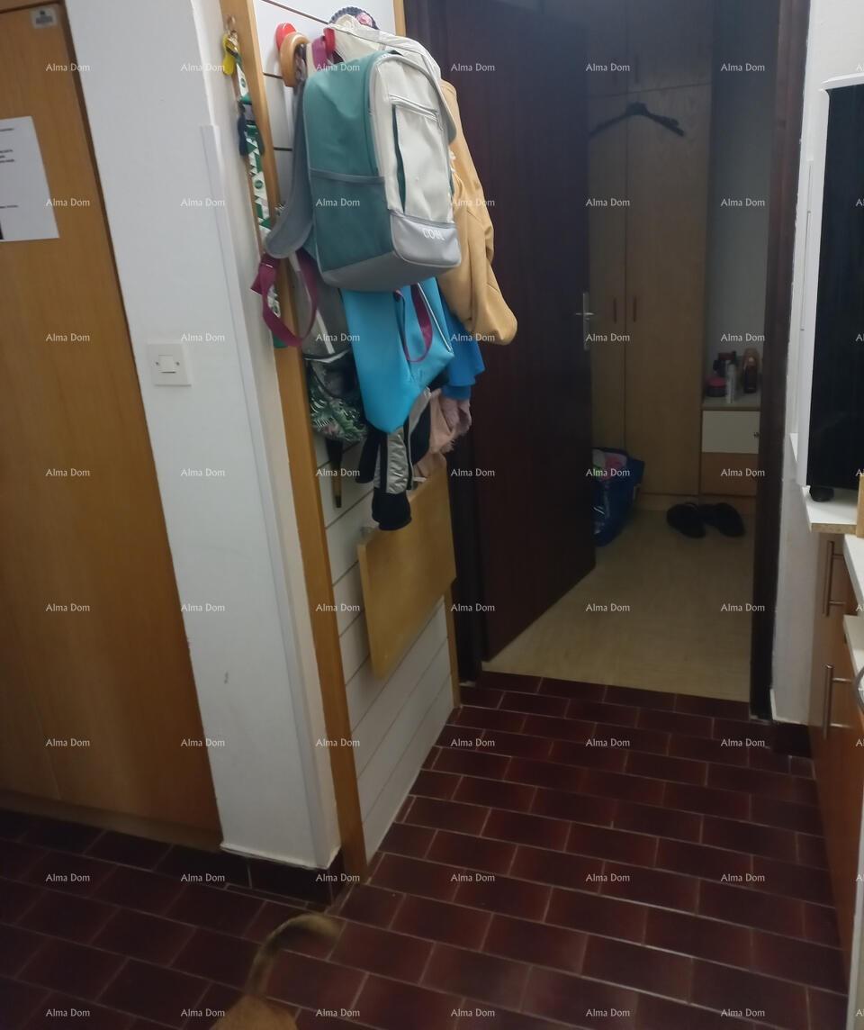 Apartma Naprodaj - ISTARSKA Novigrad