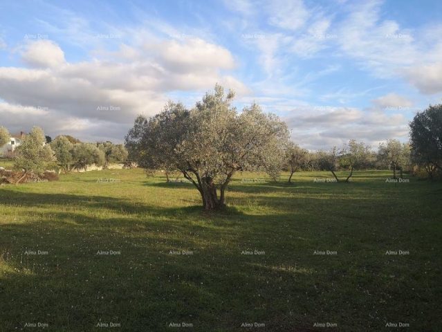 Parcela Na predaj - Istarska Fažana - foto 3/4