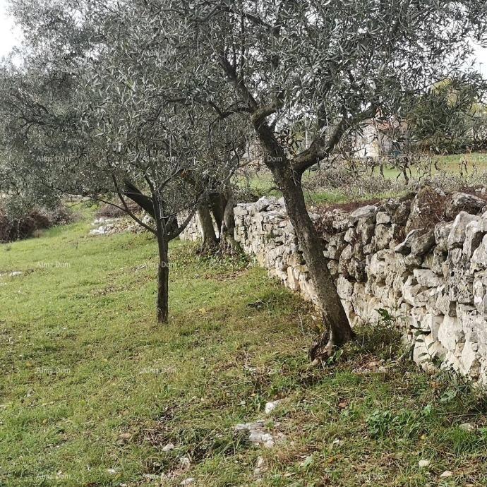Grundstück Zu verkaufen - ISTARSKA FAžANA