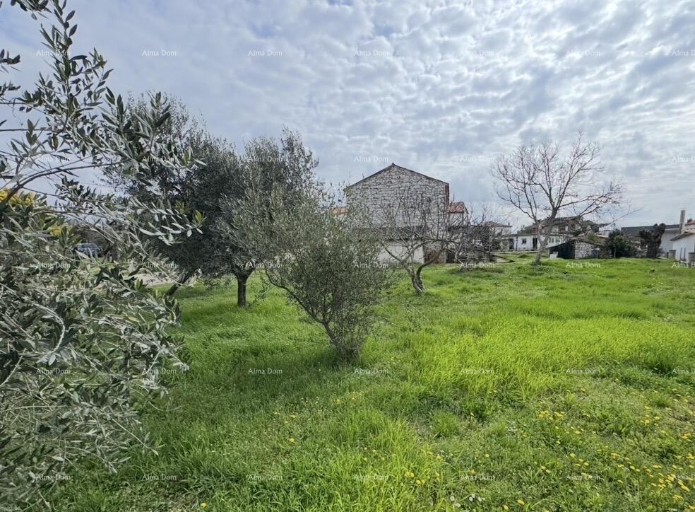 House For sale - Istarska Umag - foto 2/2
