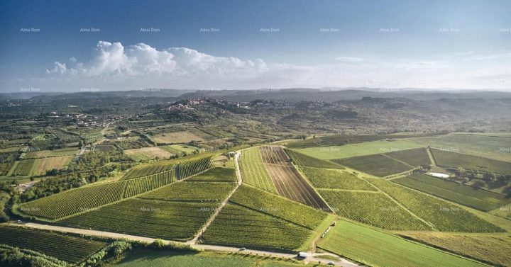 Land for sale 500 m² – Brtonigla