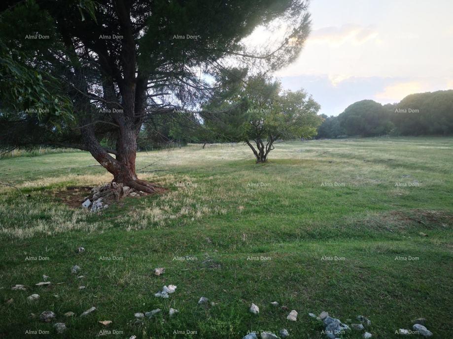 Zemljište Na prodaju - ISTARSKA SVETA NEDELJA