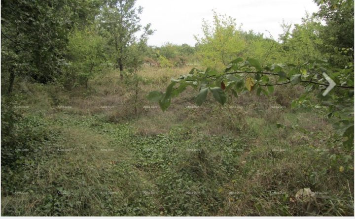 Terrain à vendre 3040 m² – Ližnjan
