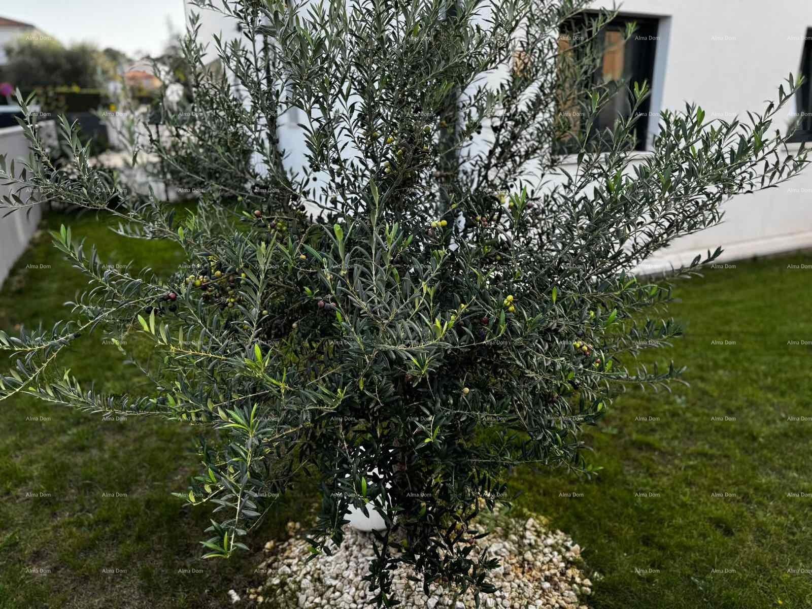 Mieszkanie Na sprzedaż - ISTARSKA PULA