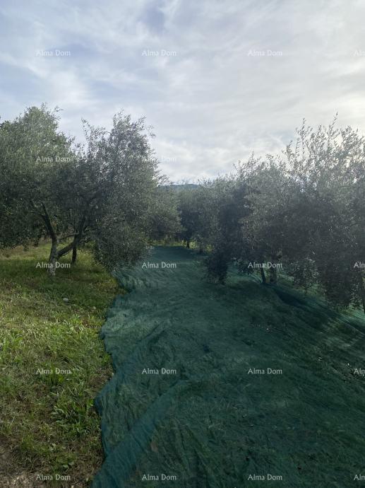 Terreno In vendita KORELIćI