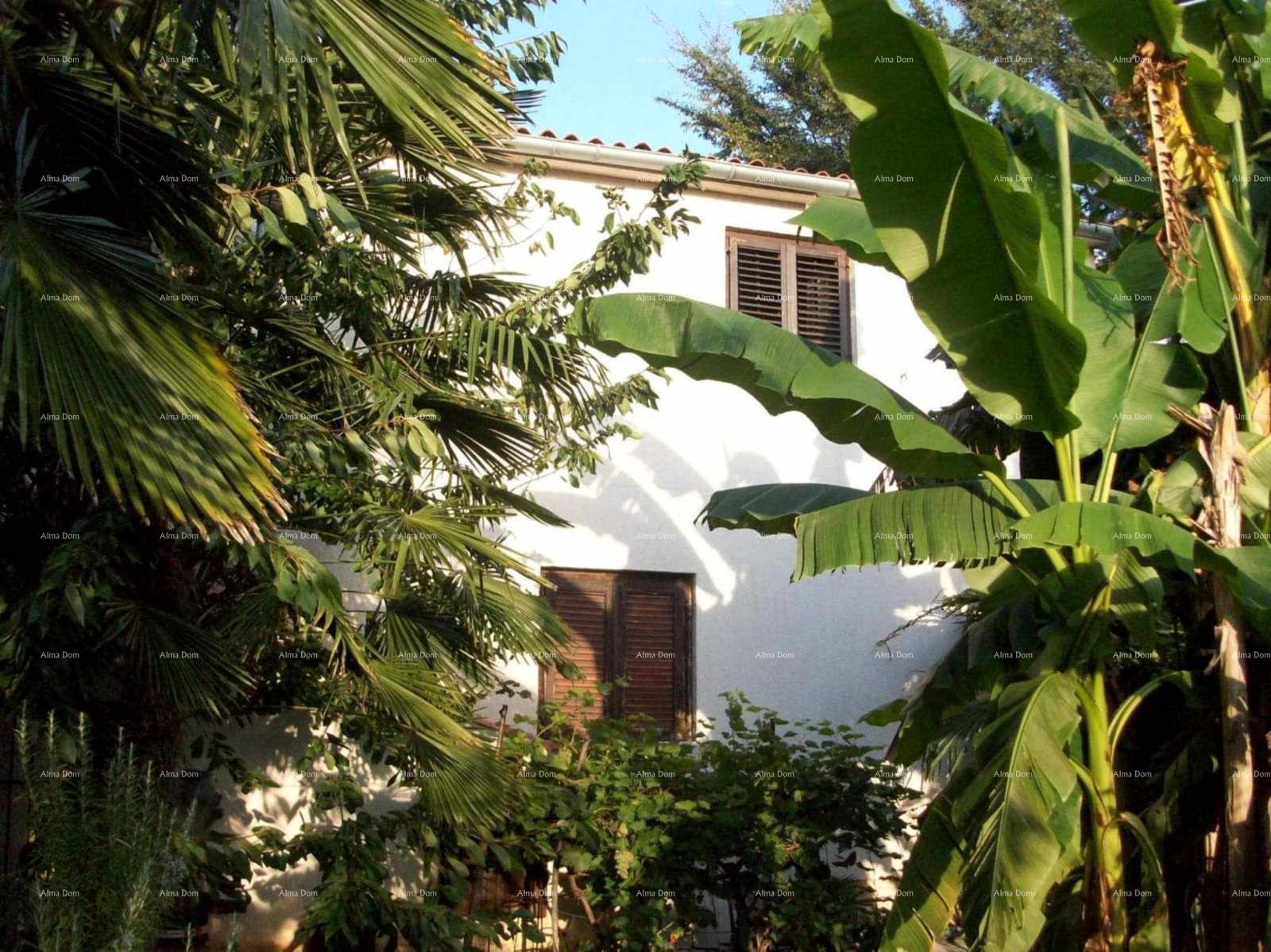 Haus Zu verkaufen - ISTARSKA UMAG