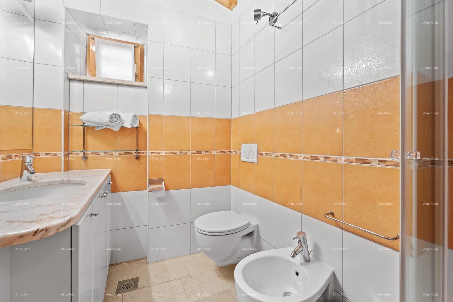House For sale - ISTARSKA KANFANAR