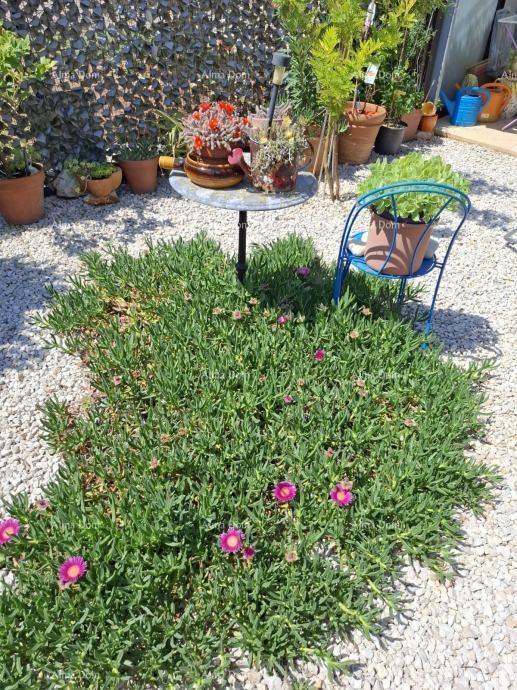 Appartement À vendre - ISTARSKA TAR-VABRIGA