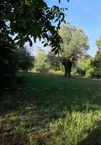 Parcela na predaj 448 m² – Rovinj