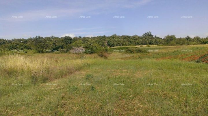 Parcela na predaj 2539 m² – Smoljanci
