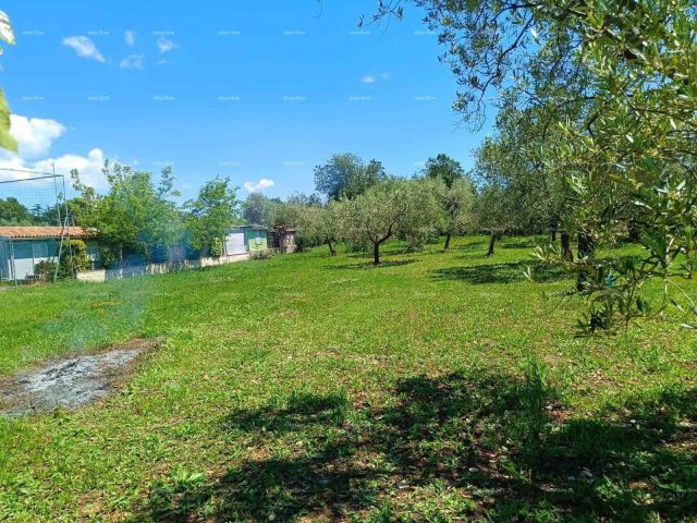 Terreno In vendita - Istarska Vodnjan - foto 5/9
