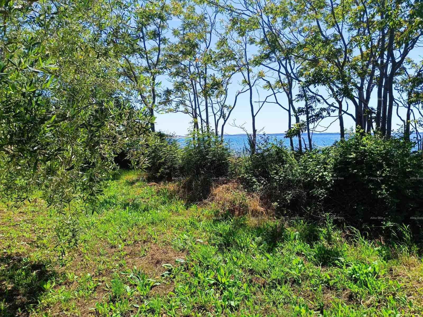 Land For sale - ISTARSKA VODNJAN