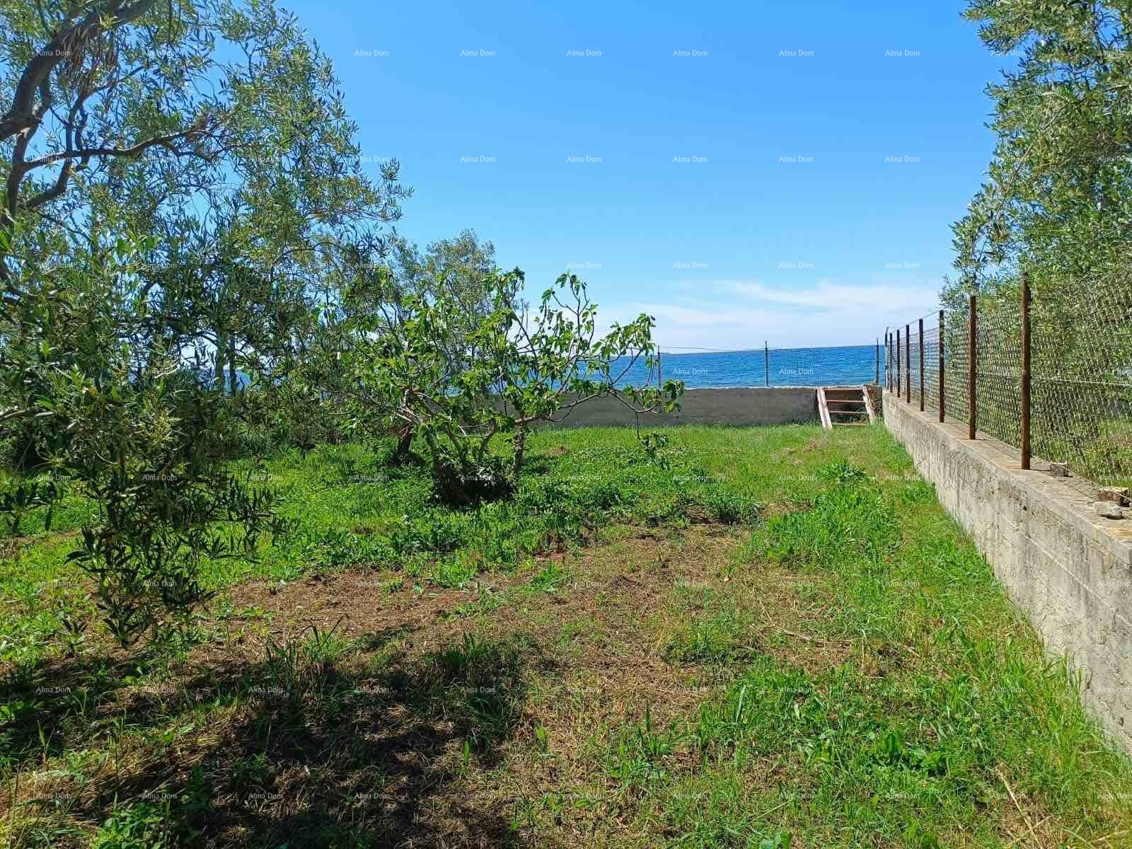 Land For sale - ISTARSKA VODNJAN