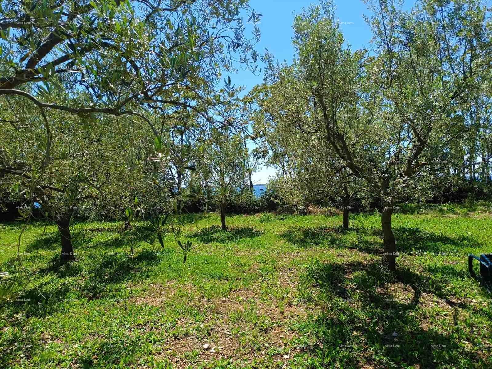 Land For sale - ISTARSKA VODNJAN