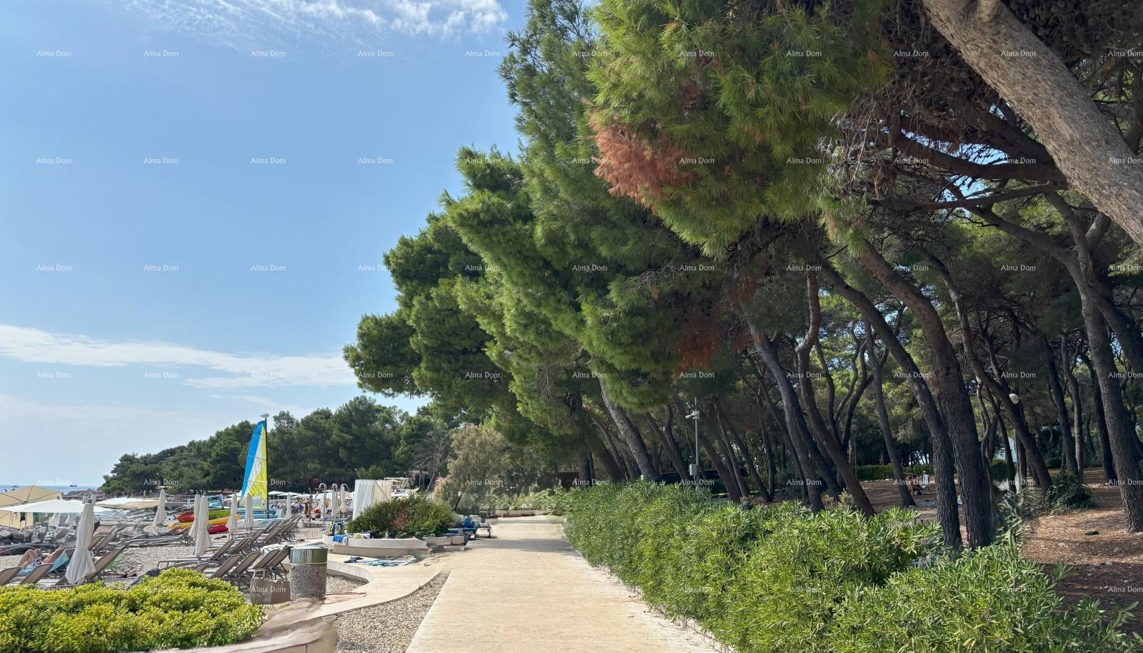 Mieszkanie Na sprzedaż - ISTARSKA ROVINJ