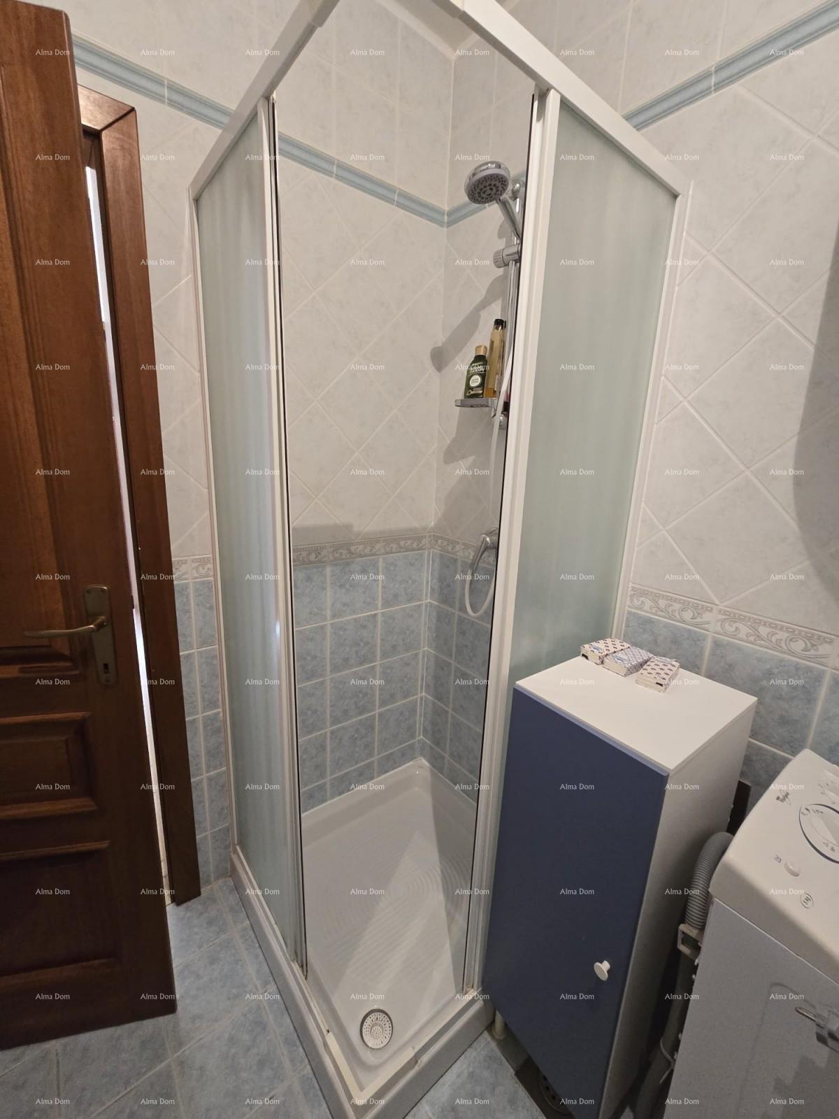 Flat For sale - ISTARSKA MEDULIN
