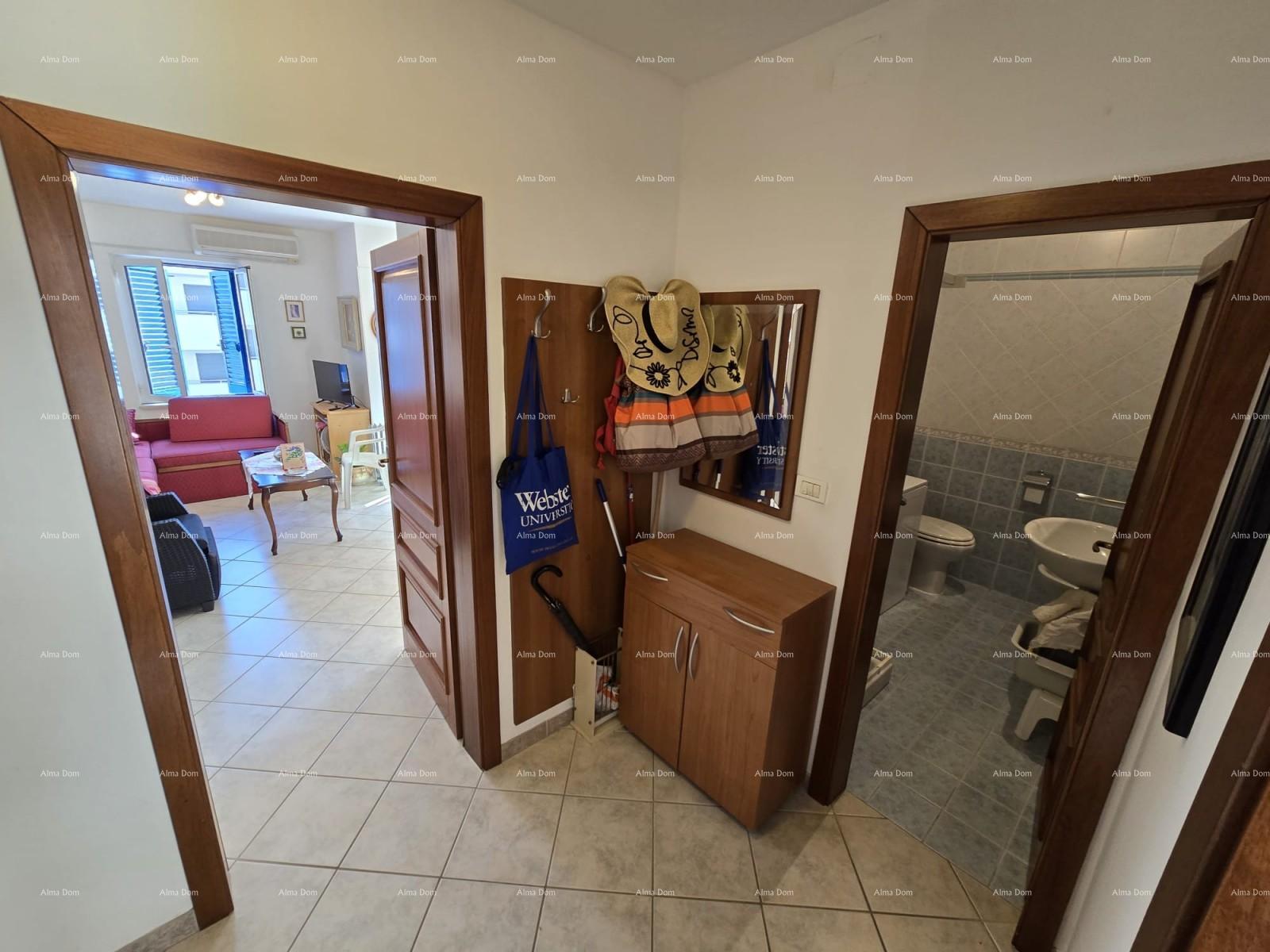 Flat For sale - ISTARSKA MEDULIN