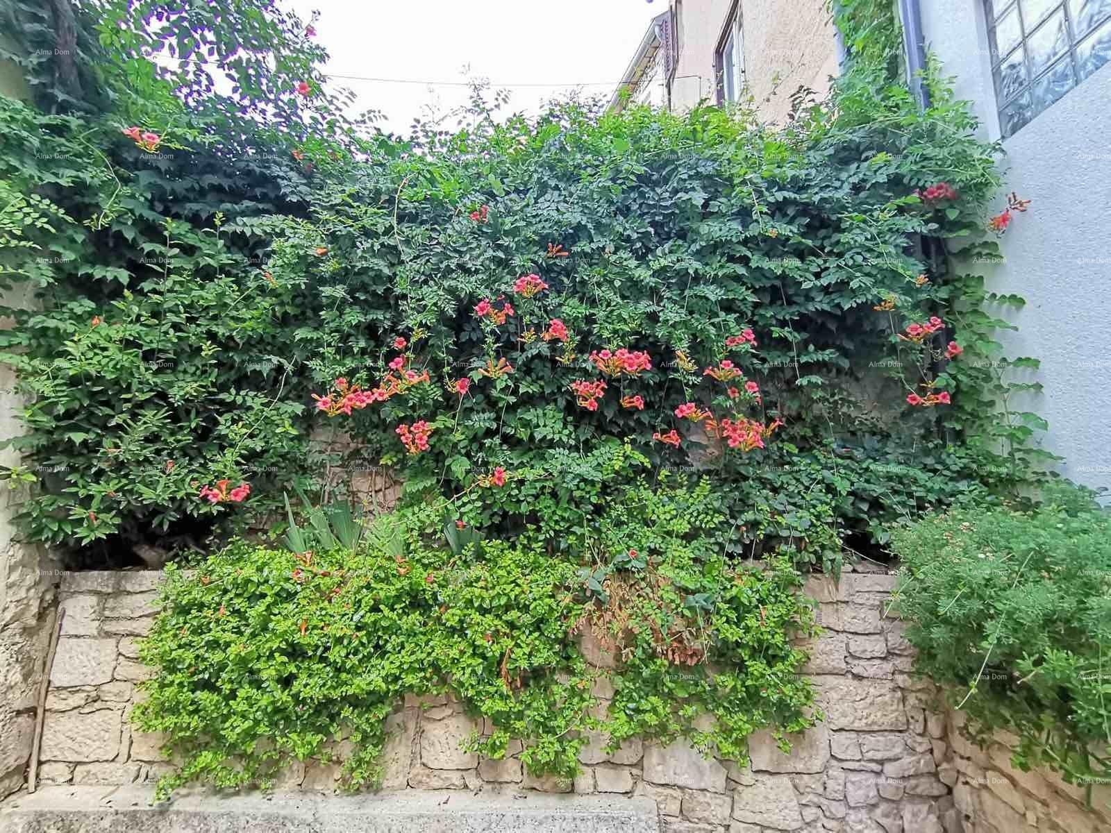 Haus Zu verkaufen - ISTARSKA MEDULIN