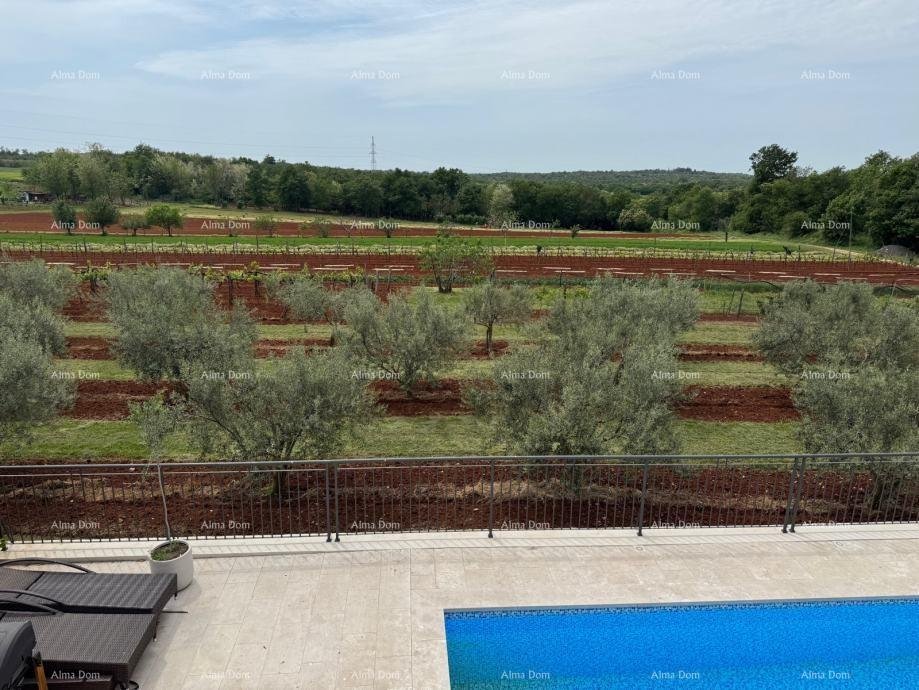 Apartma Naprodaj - ISTARSKA Buje