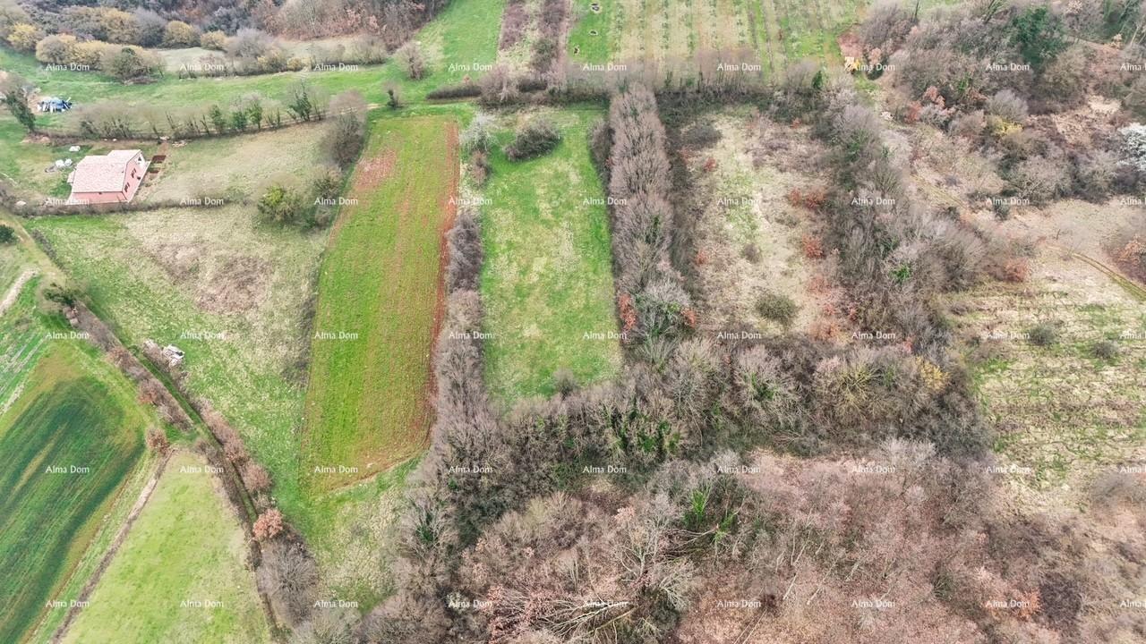 Land For sale - Istarska Barban - foto 2/2