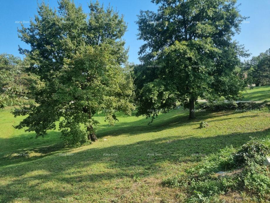 House For sale - ISTARSKA PAZIN