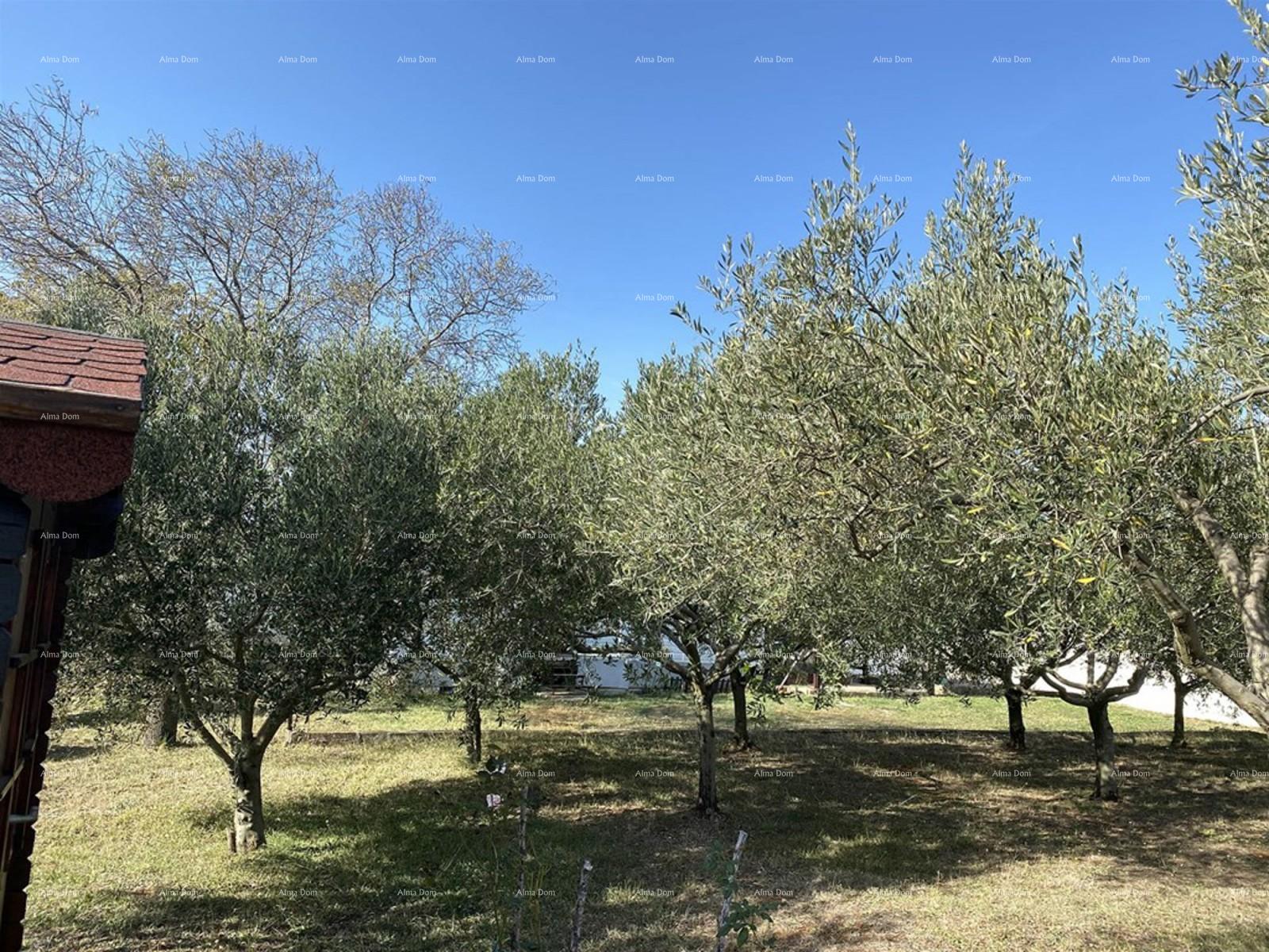 Land For sale - ISTARSKA MEDULIN
