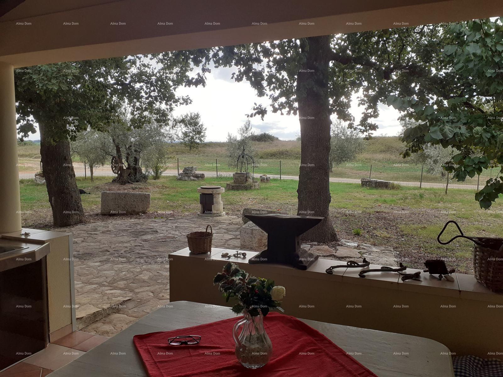 House For sale - ZADARSKA NOVIGRAD