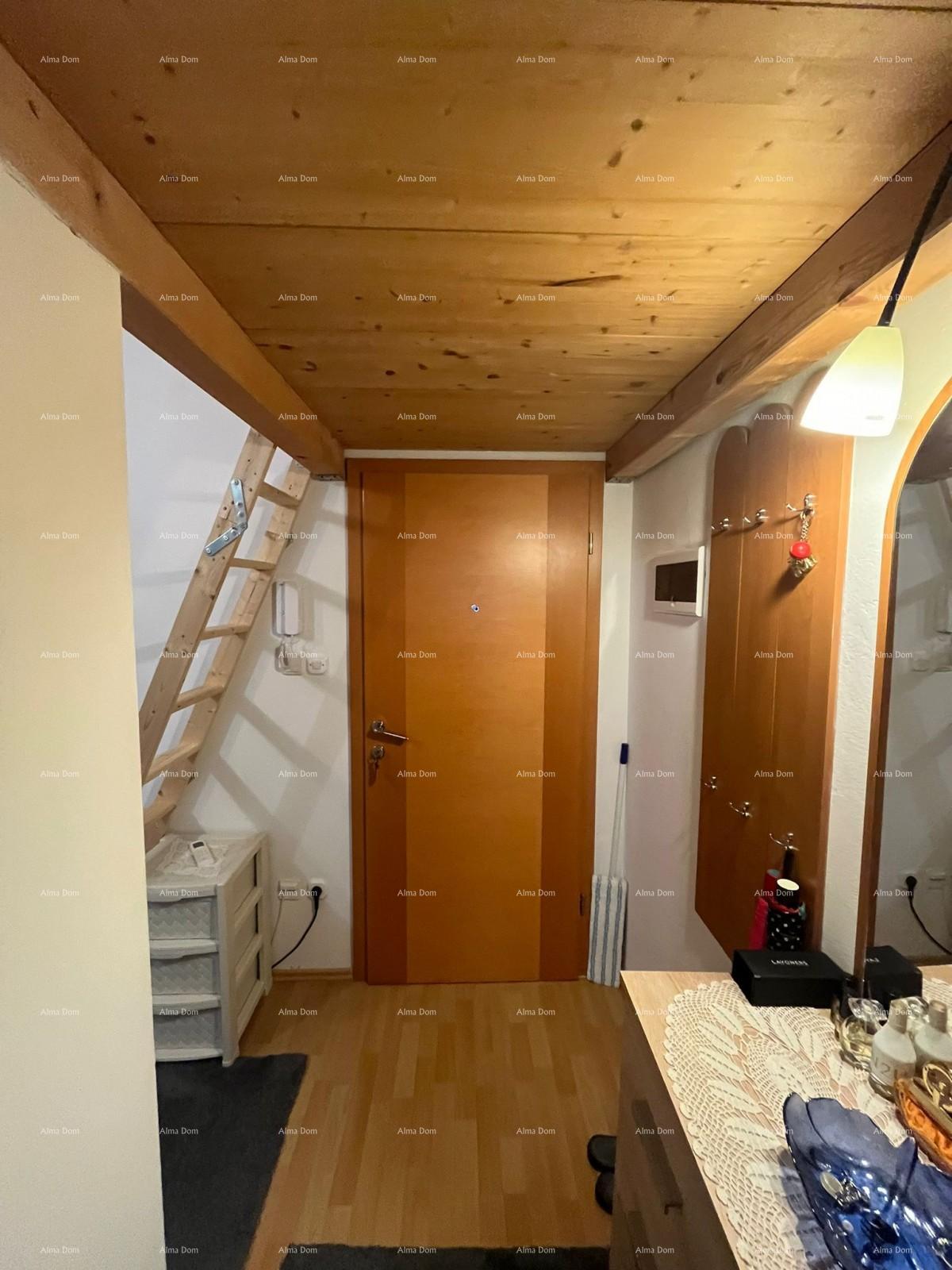 Flat For sale - ISTARSKA MEDULIN