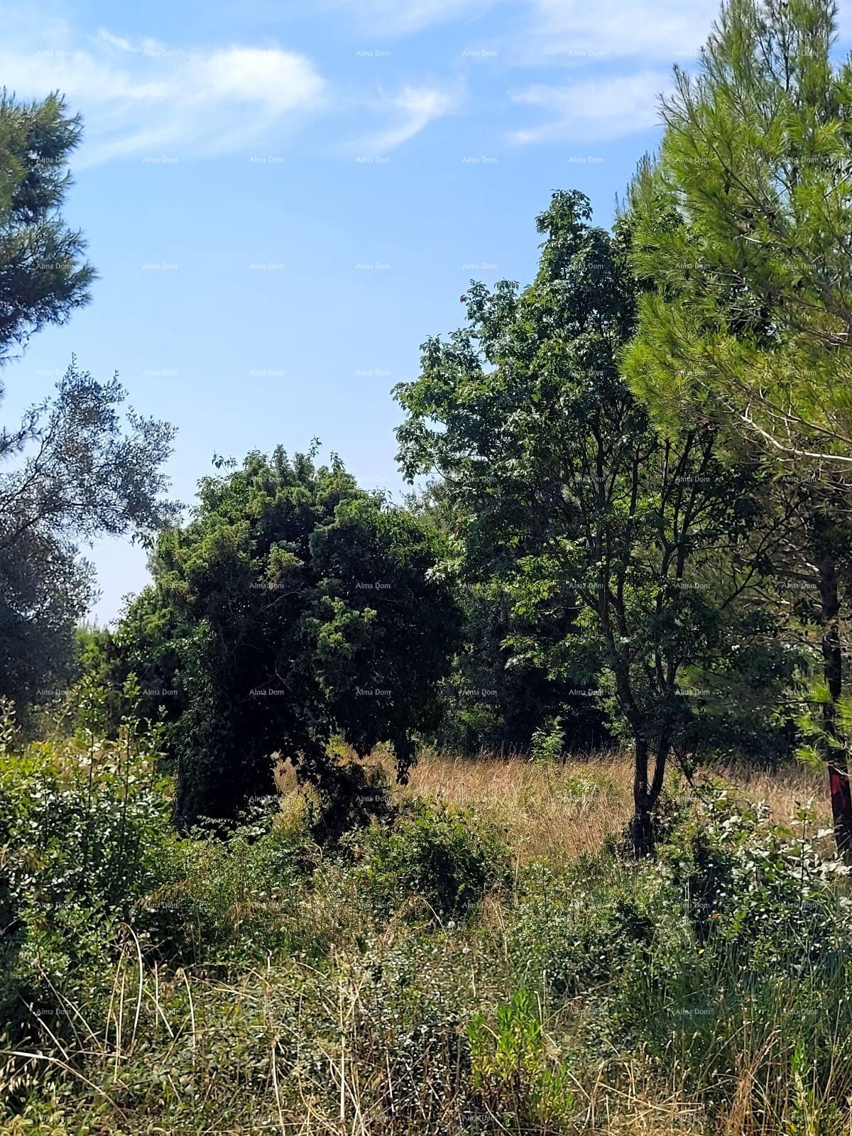 Terreno In vendita - Istarska Medulin - foto 1/2