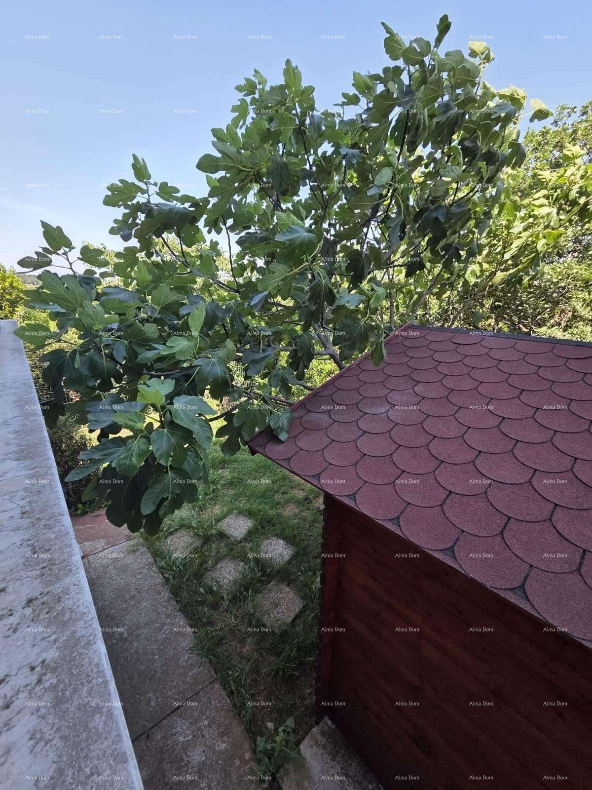 Apartma Naprodaj - ISTARSKA Pula