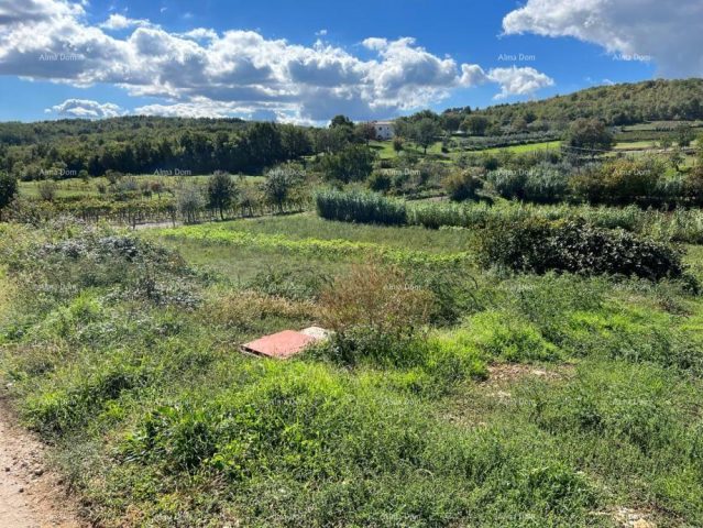Terreno In vendita - Istarska Karojba - foto 3/6