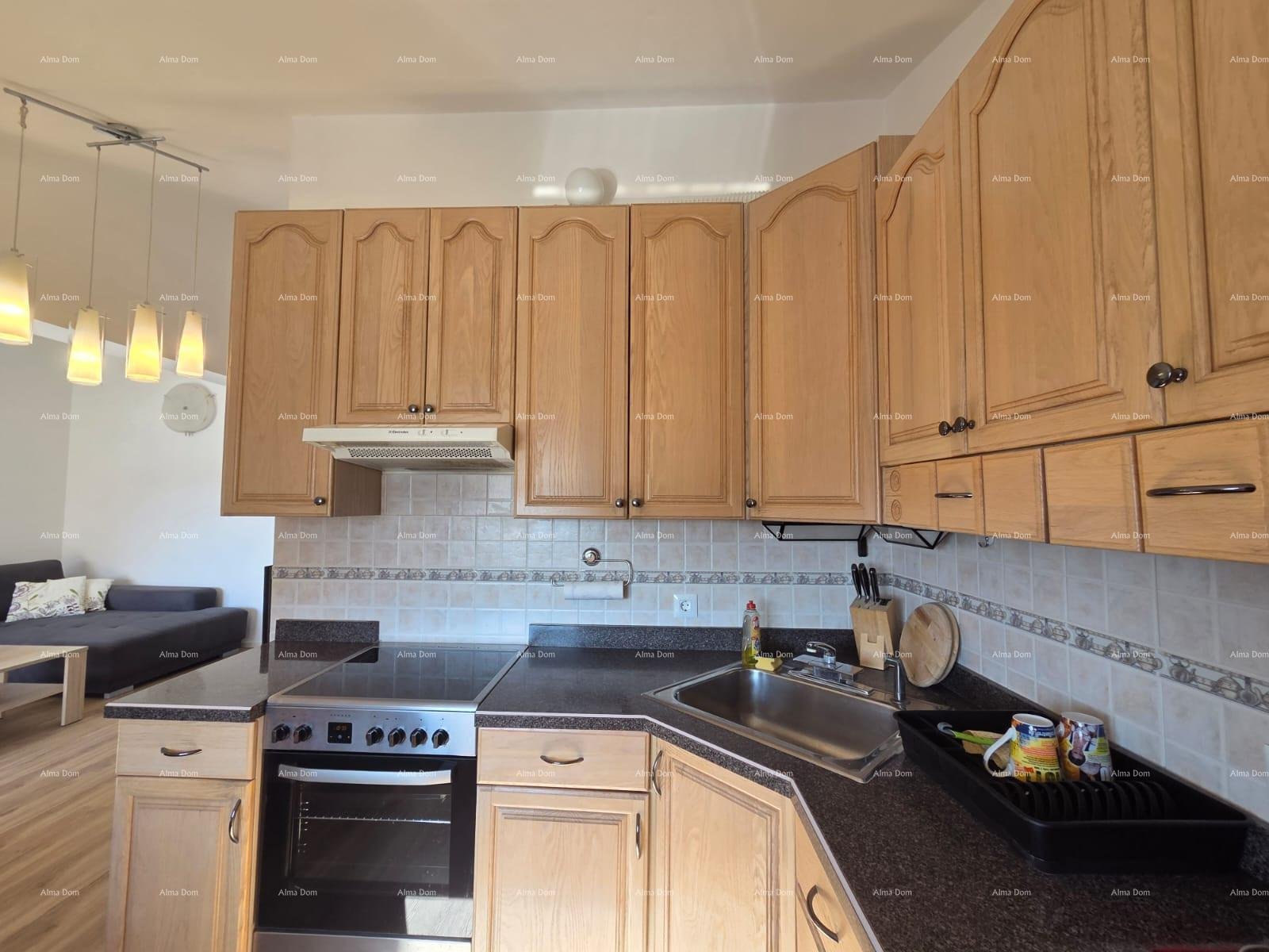 Flat For sale - ISTARSKA MEDULIN