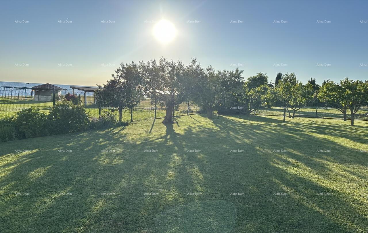 Terreno In vendita - ISTARSKA UMAG