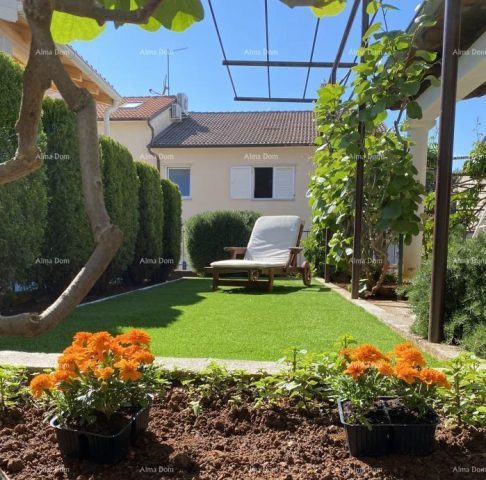 Haus zu verkaufen 212 m² – Stoja